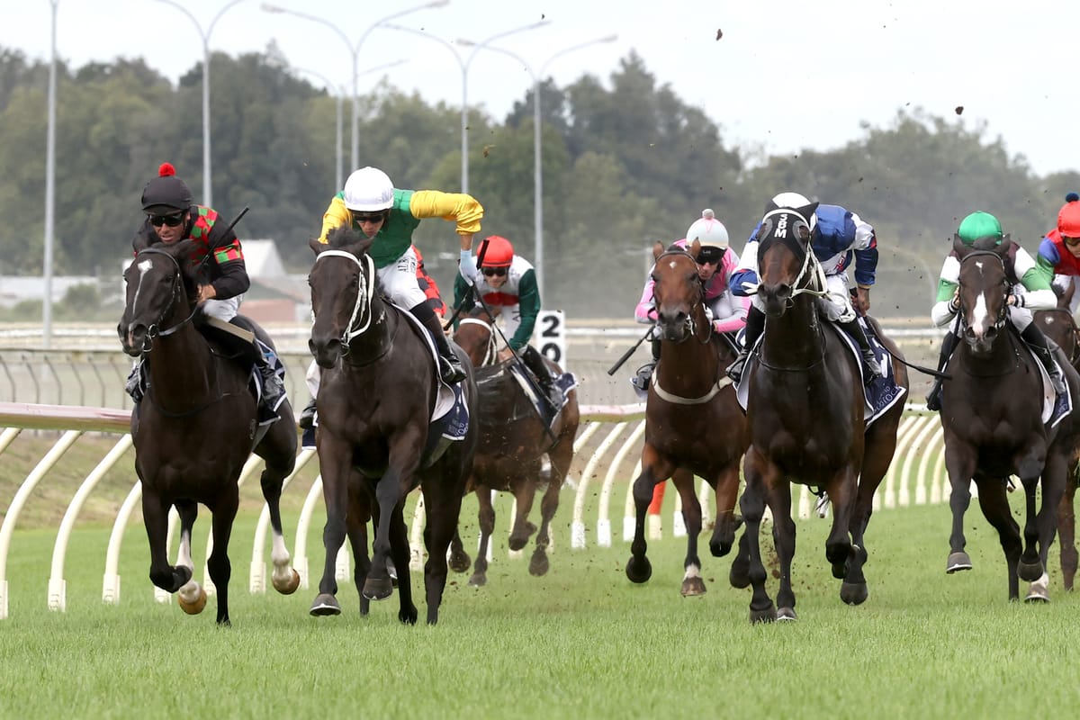 Marsh unveils impressive 3YO