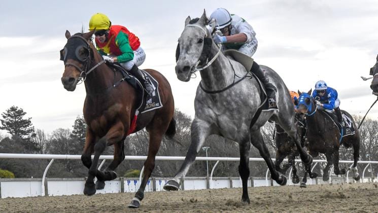 Horowhenua Battler looking to open some Foxton Fizz in Group One