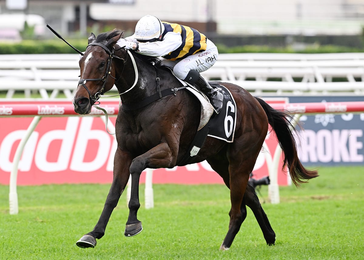 Hezashocka returns home