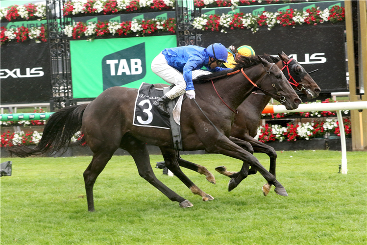 Ceolwulf back for career-defining campaign