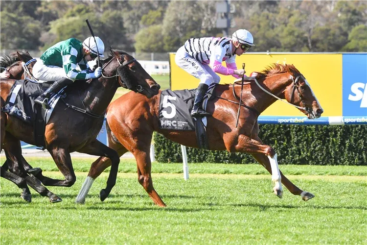 Planet Red out to turn tables in Guineas