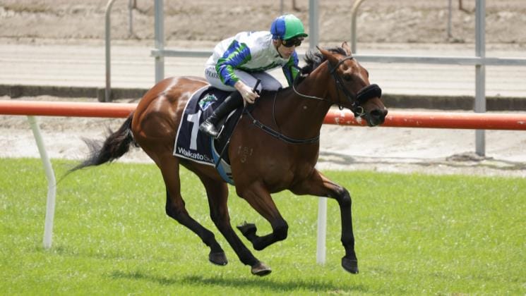 Shailer shooting for local stakes glory