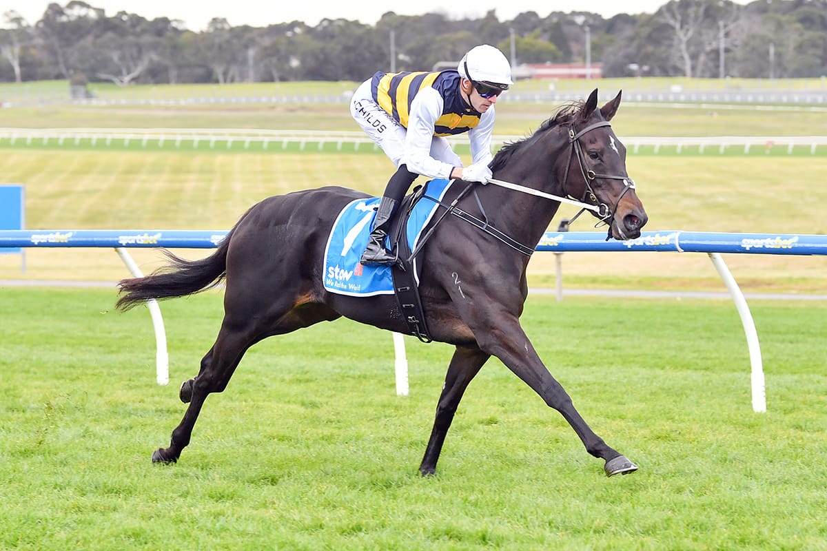 Knobelas primed for Group One tilt