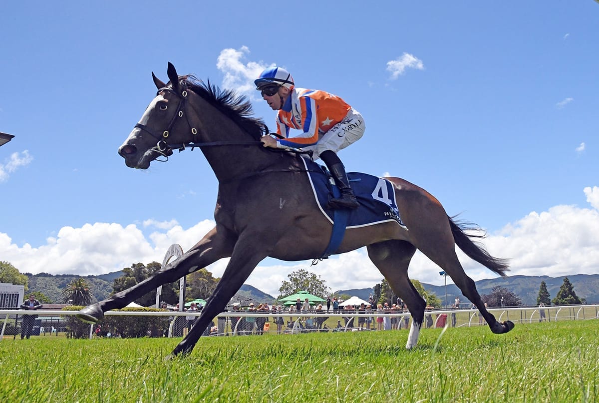 Unbeaten youngster ready to stake another claim