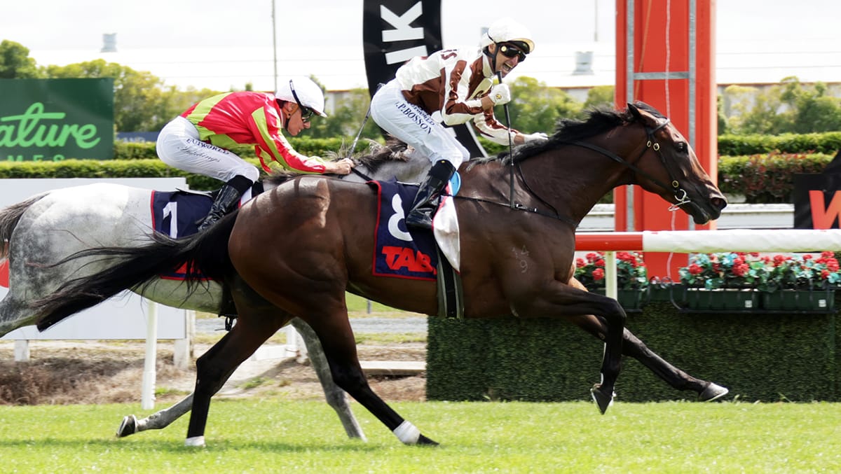 Bosson gets his Group One century