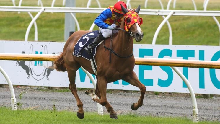 Miss Twinkle set to shine at Riccarton