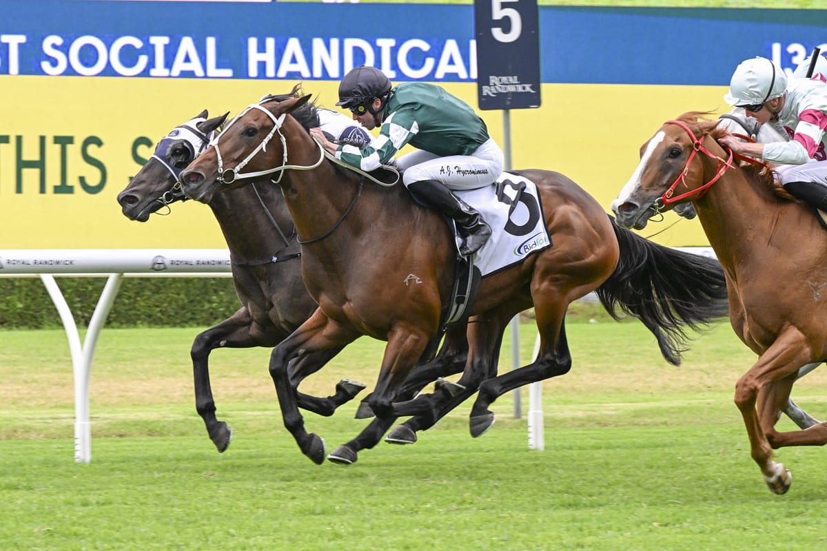 Movin Out strikes first-up