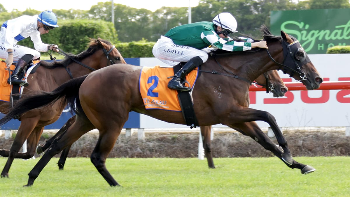 Ohope Wins cements Oaks favouritism with outstanding Te Rapa victory