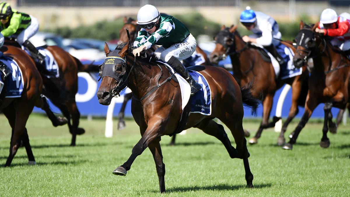 Oaks quinella caps landmark period for Waikato Stud