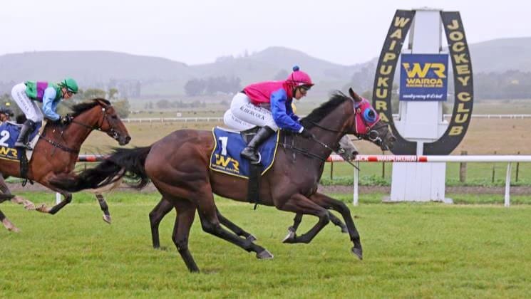 Opawa Jack prevails in Wairoa Cup