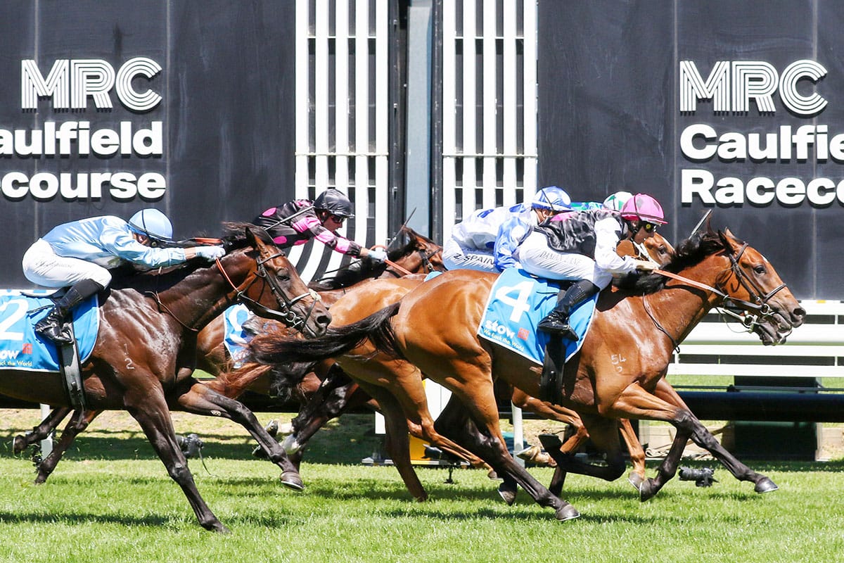 Single Choice Shines in Autumn Classic