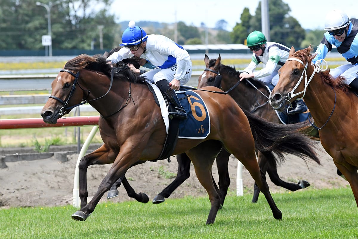 Tajana in prime order for Oaks lead-up
