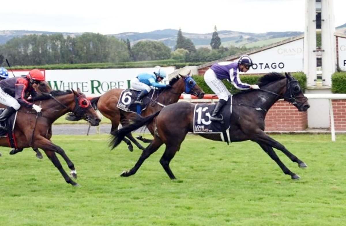 Witz End claims Hazlett Stakes