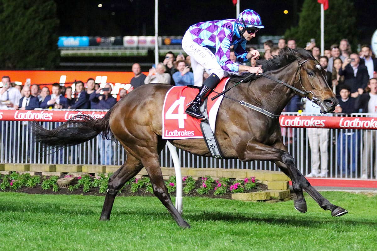Pride Of Jenni and Declan Bates will reunite in the Gr.1 All Star Mile at Flemington in March. Photo: Bruno Cannatelli