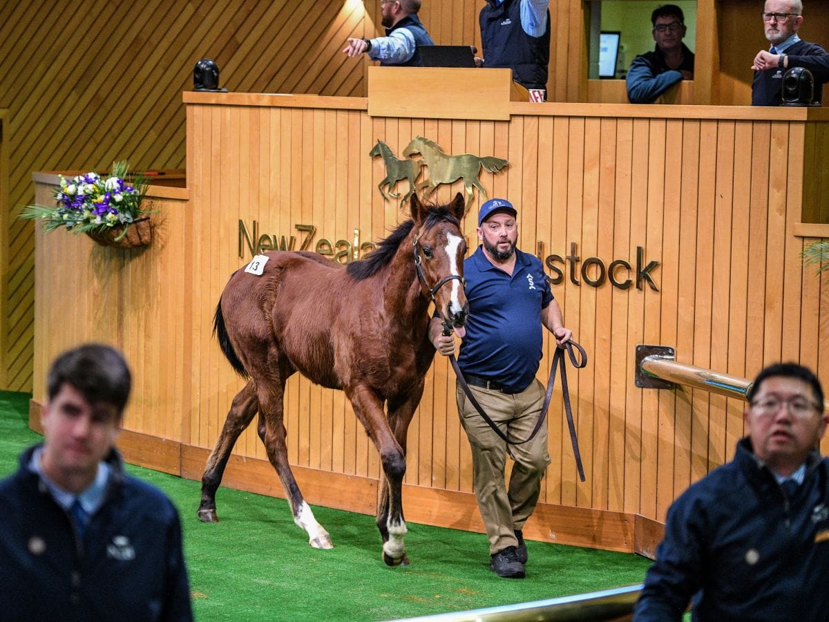 Entries Open for 2026 National Weanling Sale