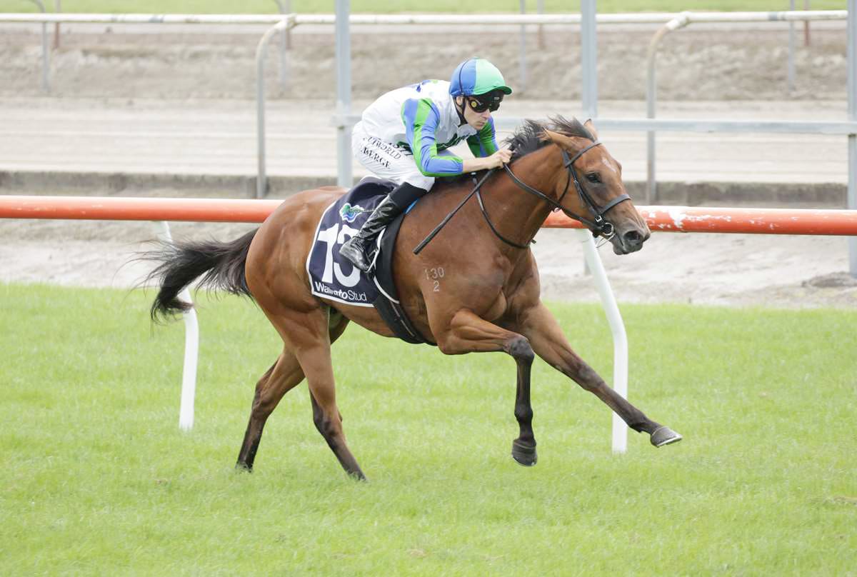 Waikato Stud Convinced Filly is up to NZB Kiwi Task