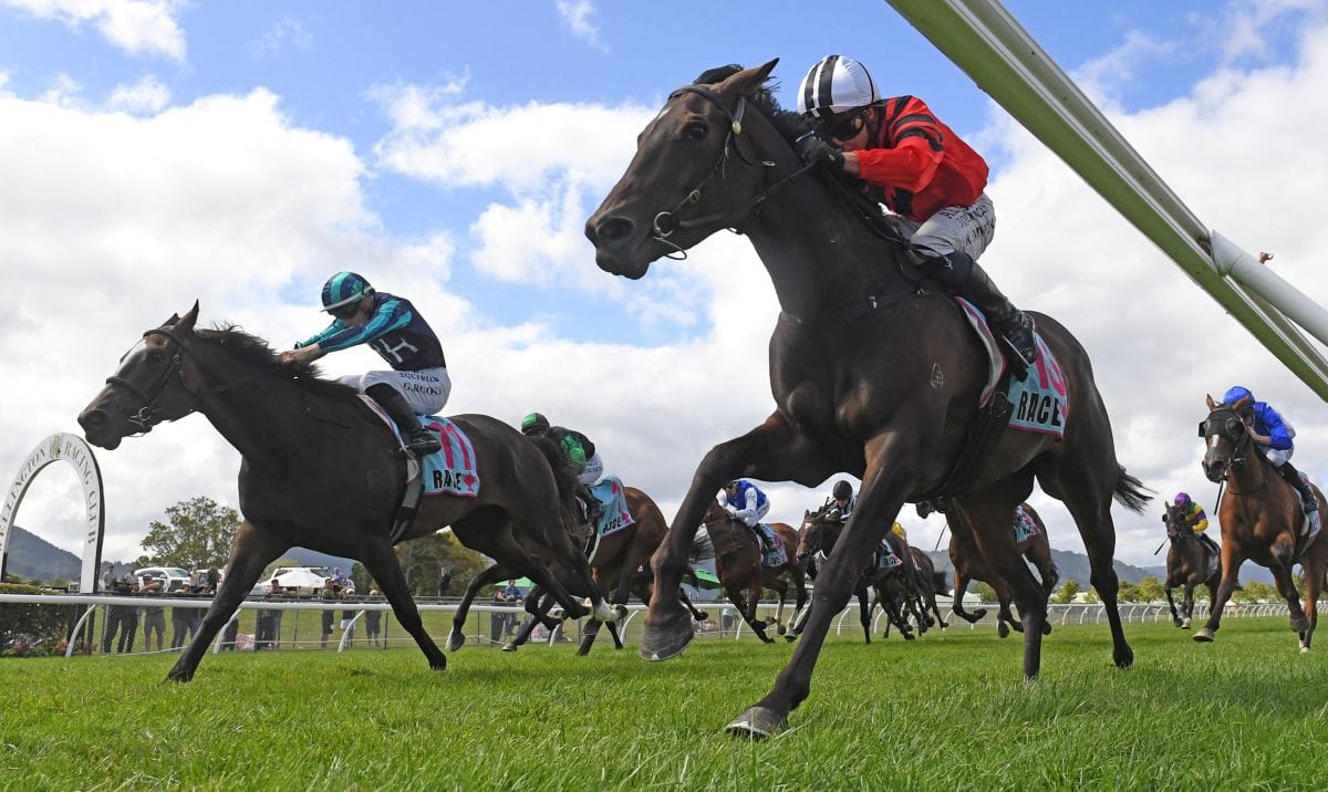 Afternoon Siesta wasn’t caught napping in Cuddle Stakes