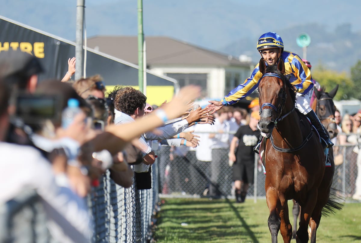 Anderson Bridge earns stakes tilt