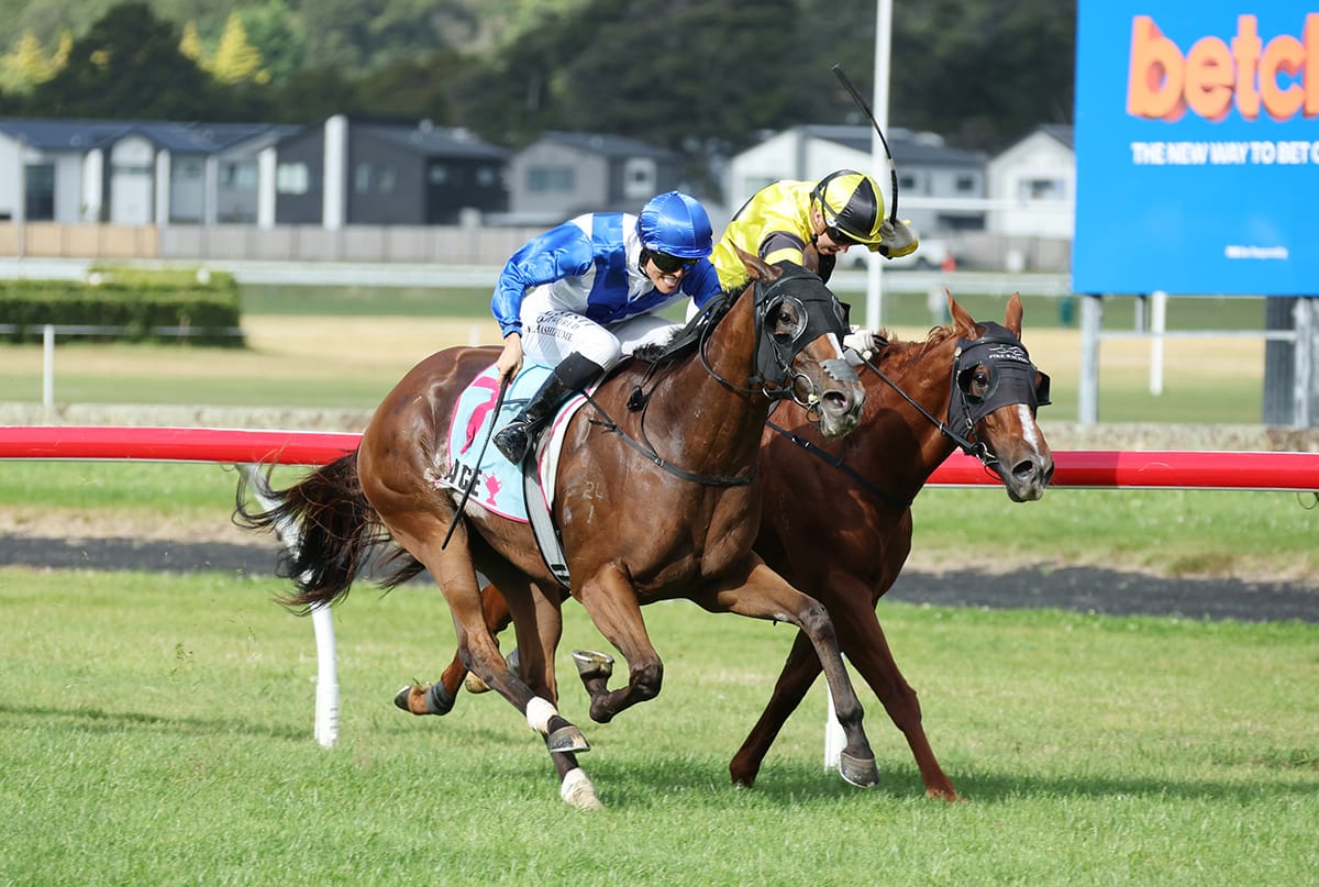 Archaic Smile delivers in Flying Handicap