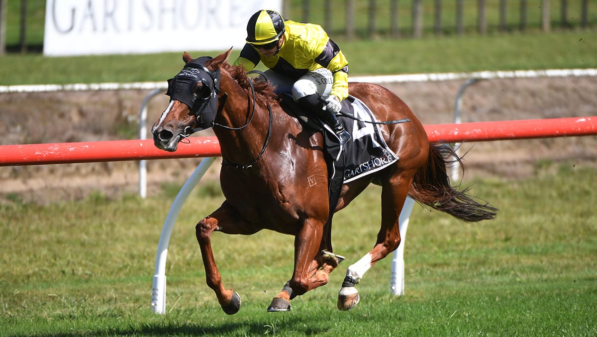 Churchillian back to her best in Tauranga victory