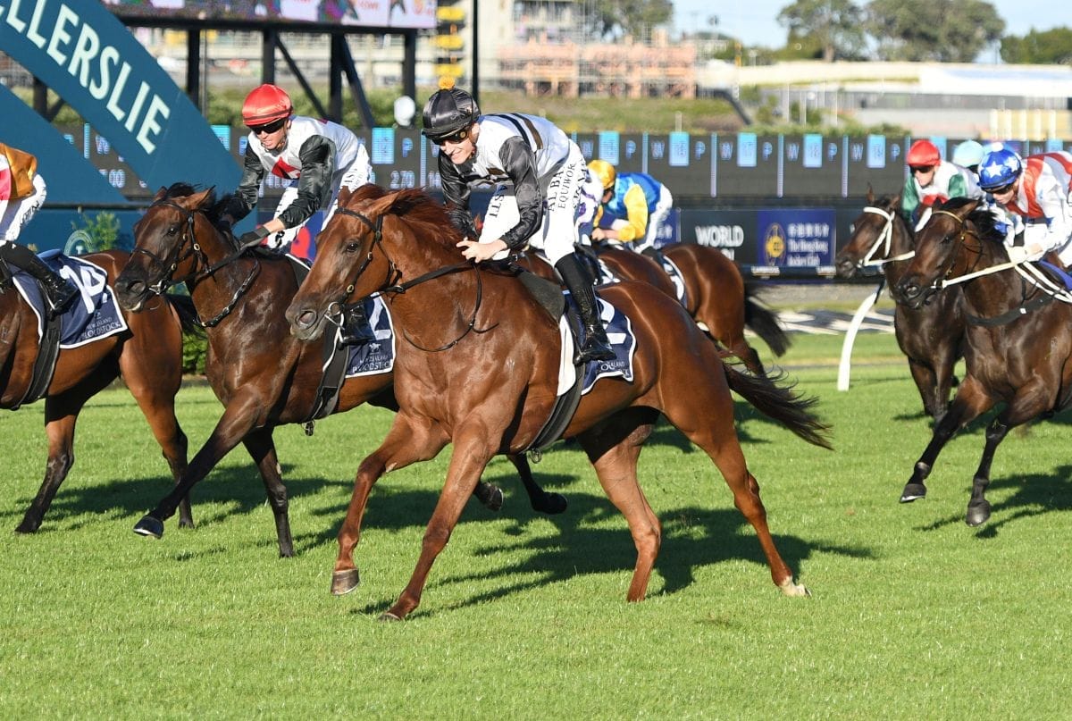 Stakes assignments looming for Elle Sourit