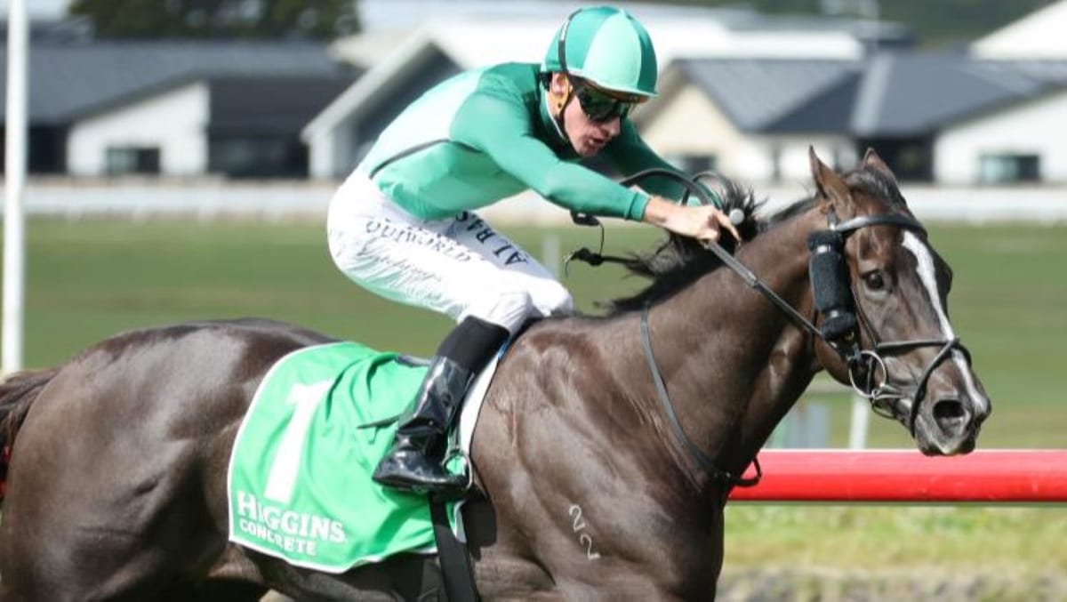 Hutchings ends NZ stint on a high