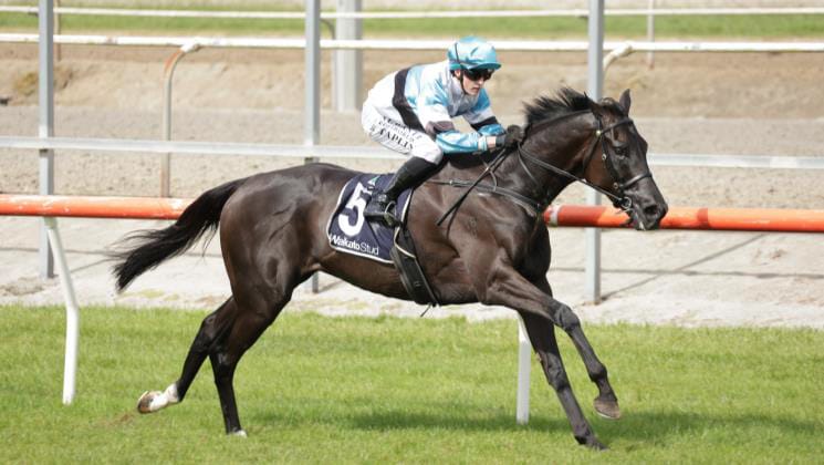 Loyal Ralph standing by his man in stakes test