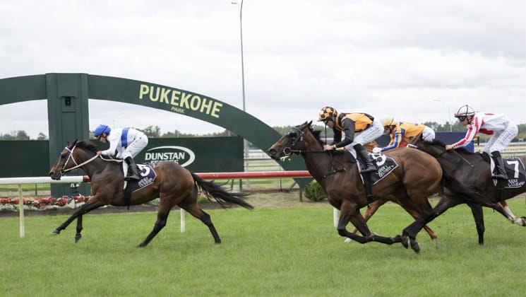 Guineas ideal fit for improving Flashback