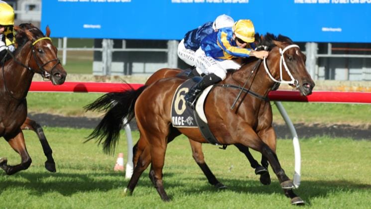 Little Lady on target for Breeders’ Stakes