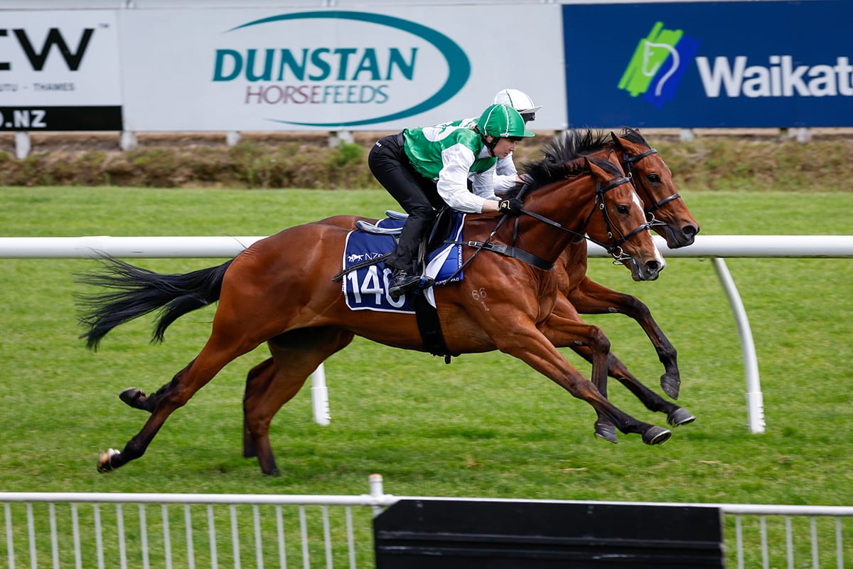 Kilgravin celebrate Hong Kong Derby triumph