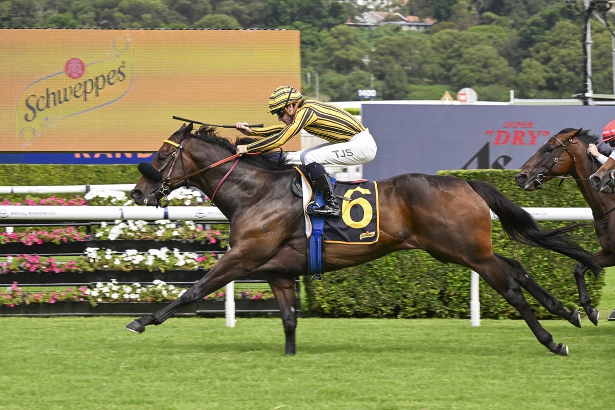 Jedibeel selected for BYD Quokka