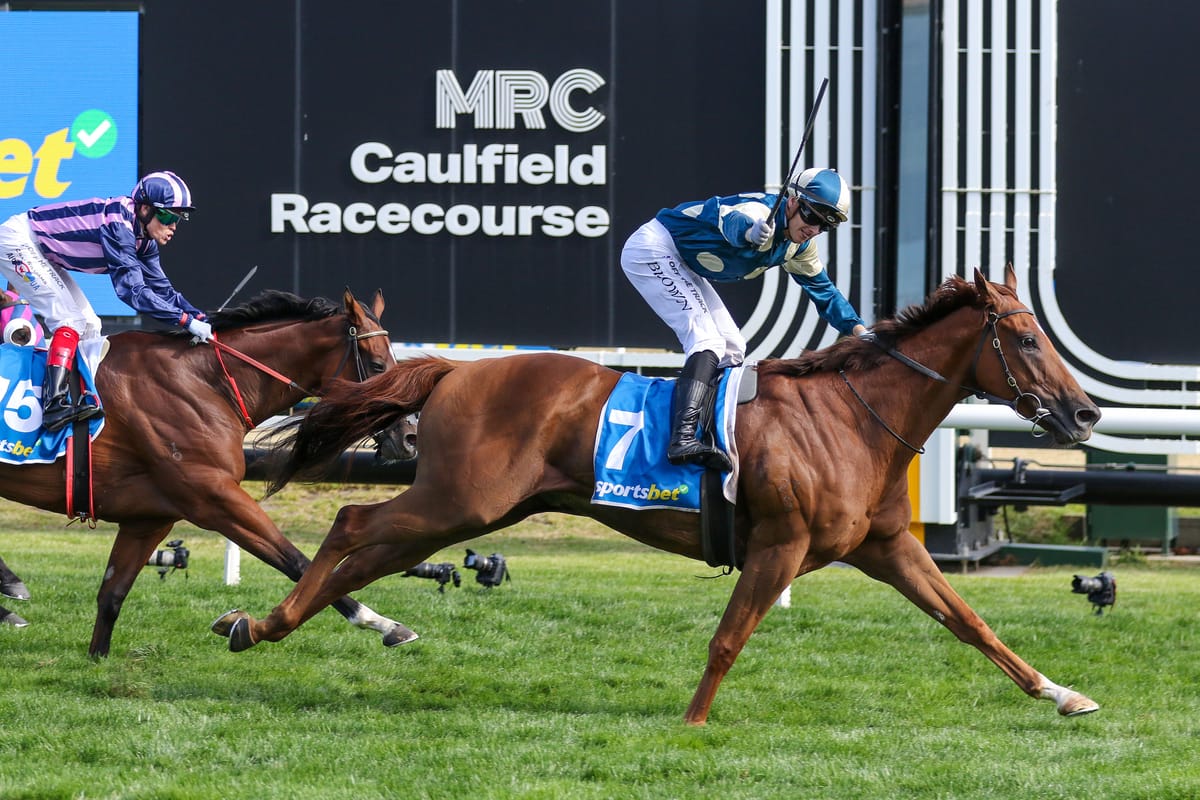 Zhara booked for Jimmysstar