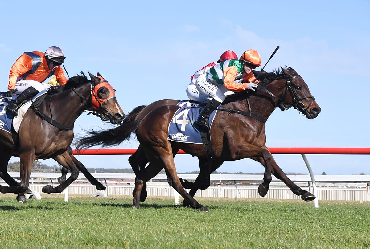 Home target first up for Knock Off