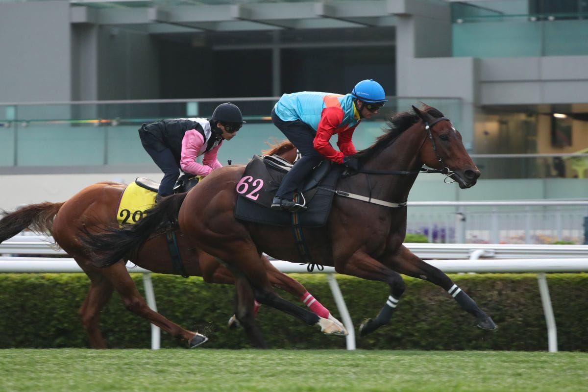 Ka Ying Rising trials ahead of Sprint Cup