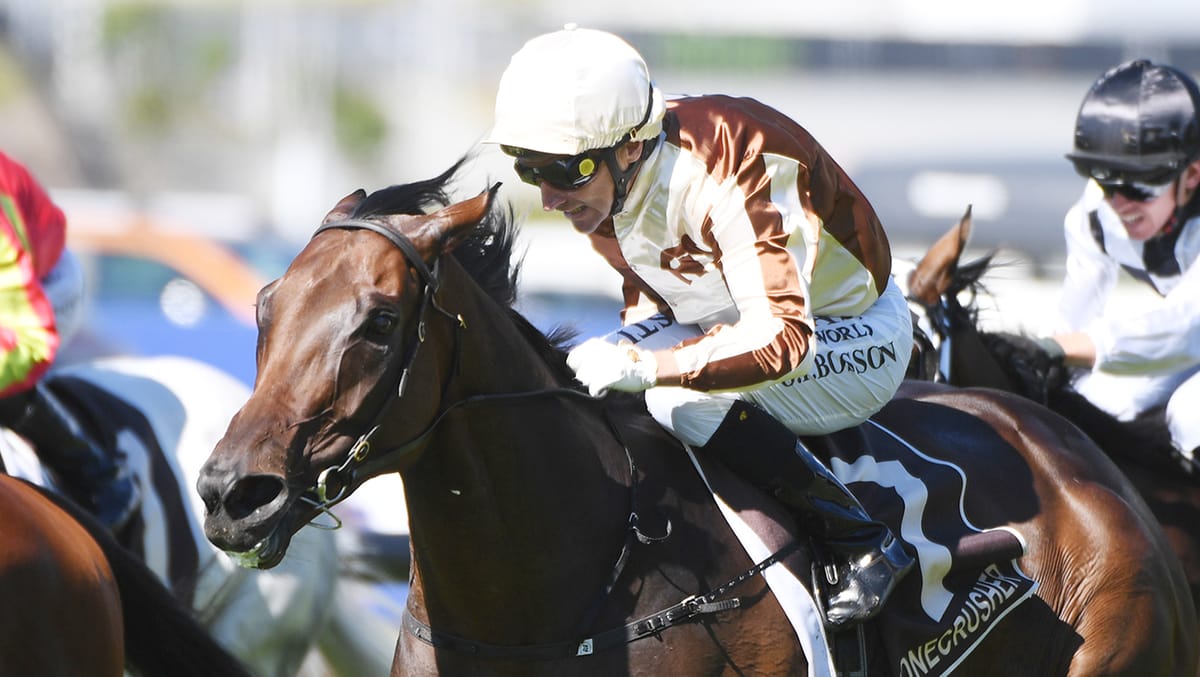 Legarto salutes in Bonecrusher New Zealand Stakes