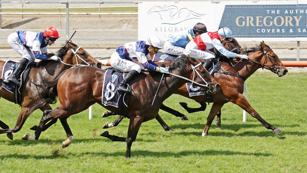 Online bargain makes quick return with debut win