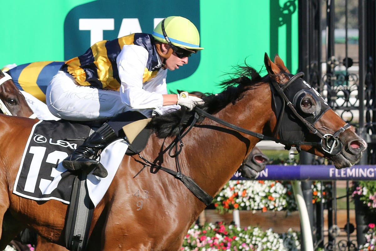 Mark Twain eyes more Flemington success