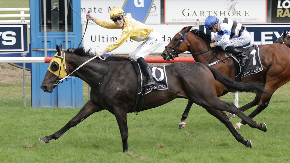 Omega Boy takes out Tauranga feature