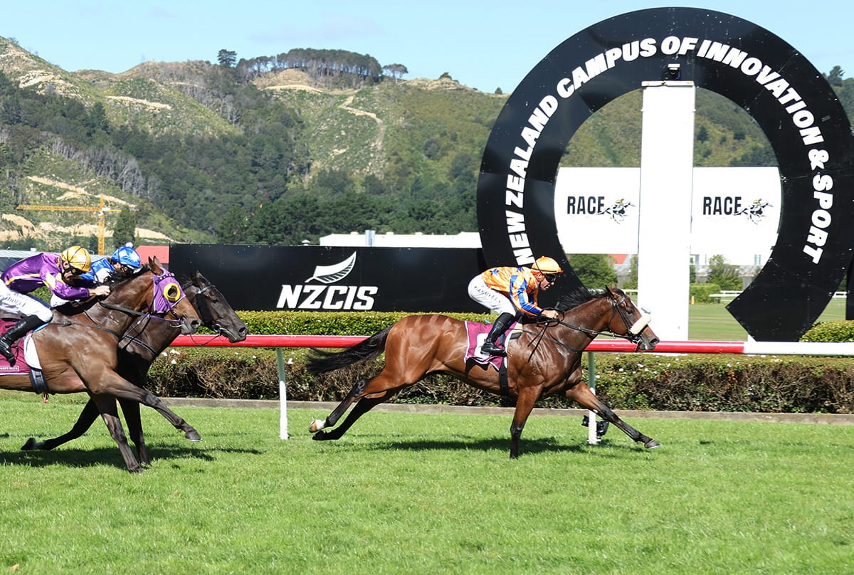 Te Akau on top in Wellington Guineas
