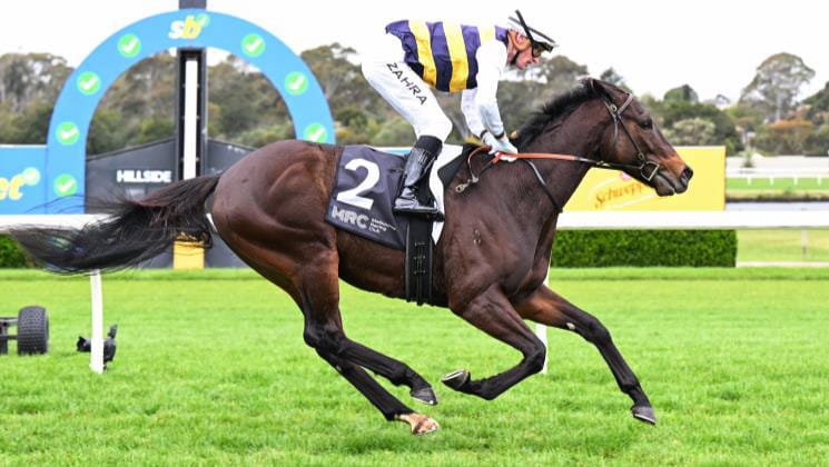 Globetrotting trainer zeroes in on rich NZ purses