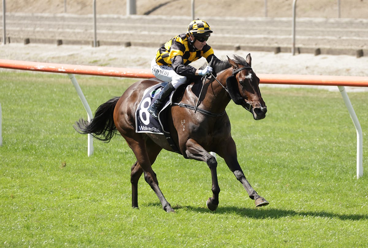 Bright future tipped for Rioja