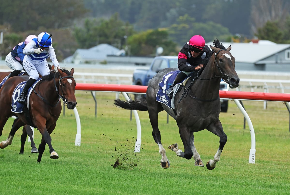 Ronaldo on target for Sires’ Produce