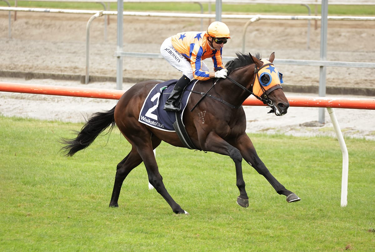 Promising juvenile seizes the day at Matamata