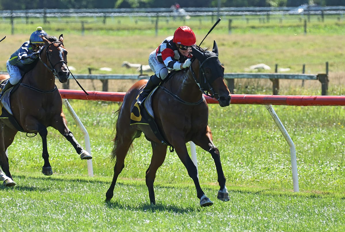 Maiden win sparks stakes tilt for promising filly