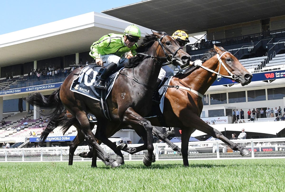 Sires’ Produce start in mix for smart debutante