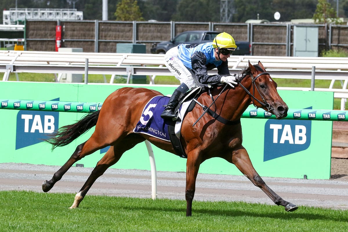Glowing reports for impressive Flemington winner