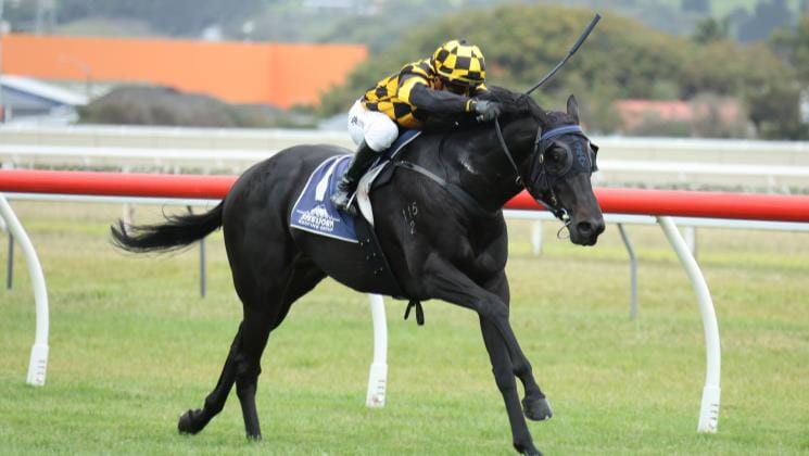 Blinkers prove the difference for well-related three-year-old