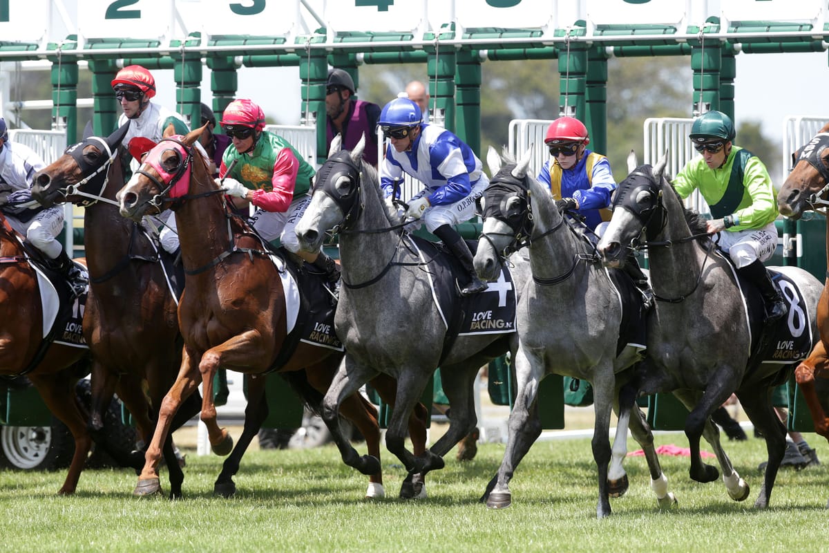 NZTR upholds Australian Racing Registration Embargo