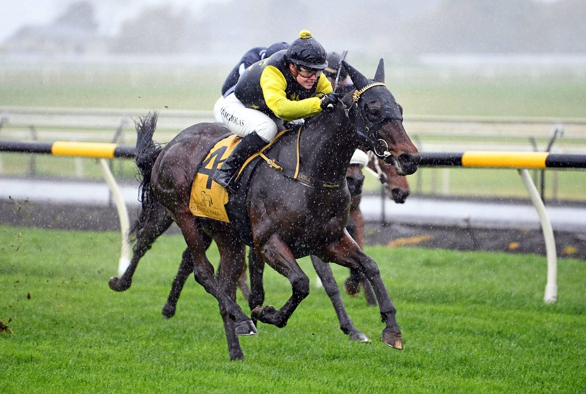 The little horse that could eyes Derby crown