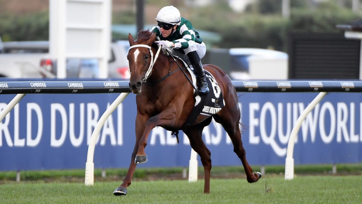 Yulong’s Kiwi investment set to pay off on Champions Day